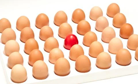 Eggs Stock Photos
