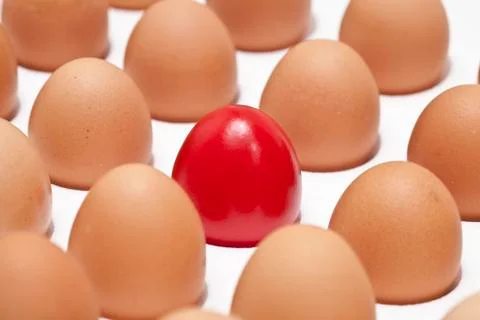 Eggs Stock Photos