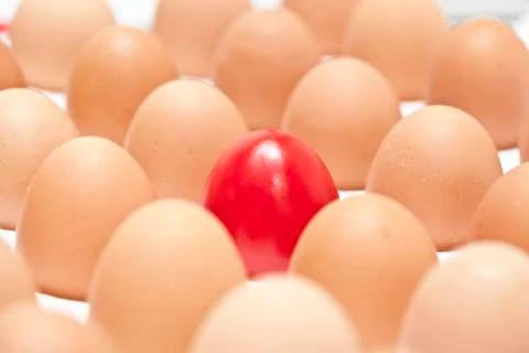 Eggs Stock Photos