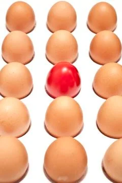 Eggs Stock Photos