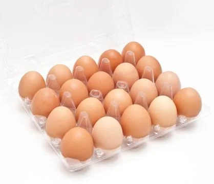 Eggs Stock Photos