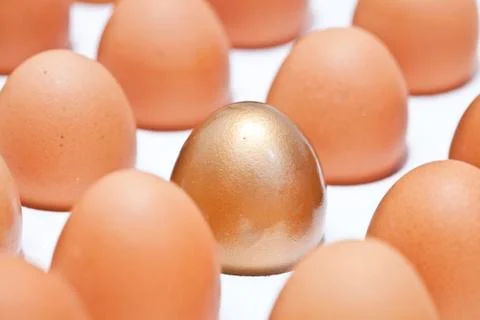 Eggs Stock Photos
