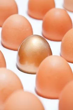Eggs Stock Photos