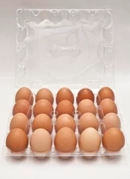 Eggs Stock Photos
