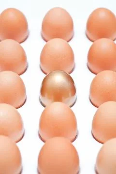 Eggs Stock Photos