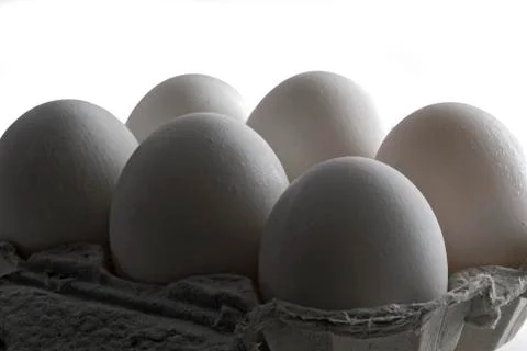 Eggs Stock Photos