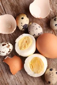Eggs Stock Photos