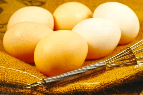 Eggs Stock Photos