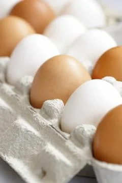 Eggs Stock Photos