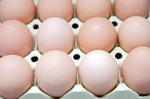 Eggs Stock Photos