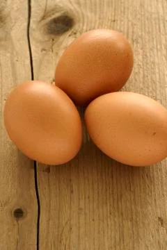 Eggs Stock Photos