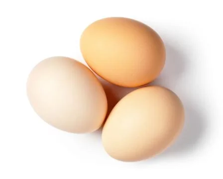 Eggs Stock Photos