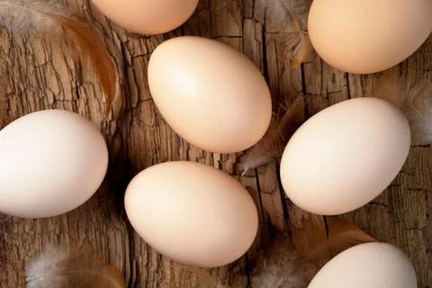 Eggs Stock Photos