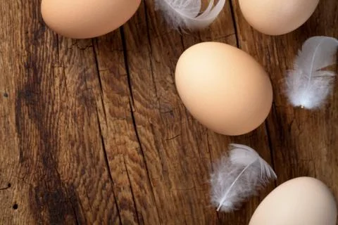 Eggs Stock Photos