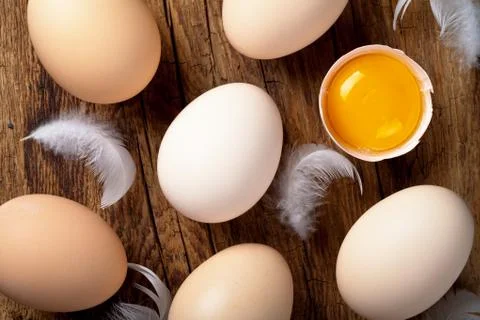 Eggs Stock Photos