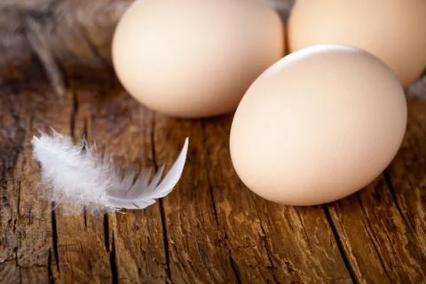 Eggs Stock Photos
