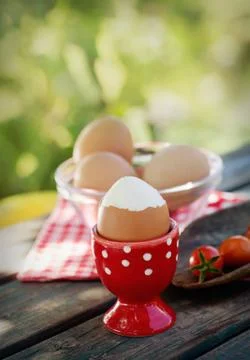Eggs Stock Photos