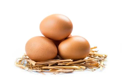 Eggs Stock Photos