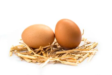 Eggs Stock Photos