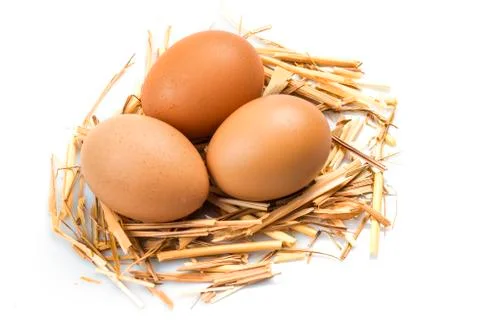 Eggs Stock Photos