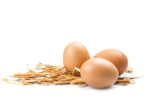 Eggs Stock Photos