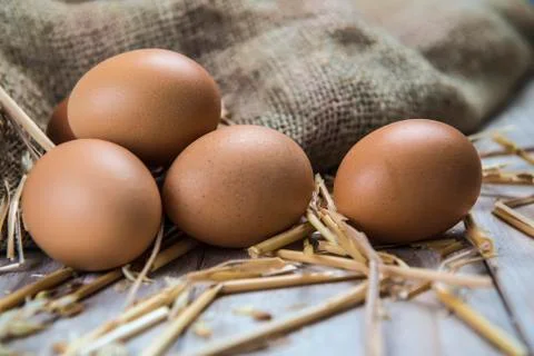 Eggs Stock Photos