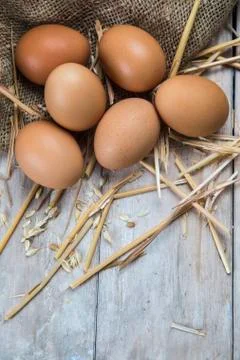 Eggs Stock Photos