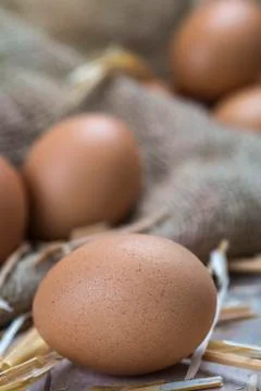 Eggs Stock Photos