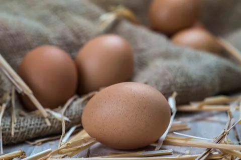 Eggs Stock Photos