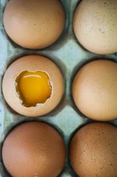 Eggs Stock Photos