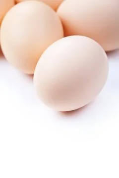 Eggs Stock Photos