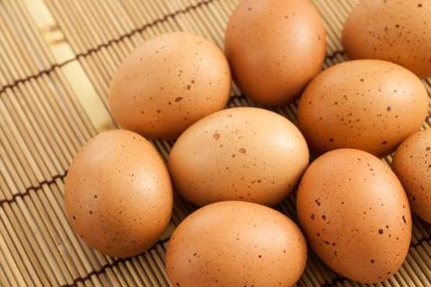 Eggs Stock Photos