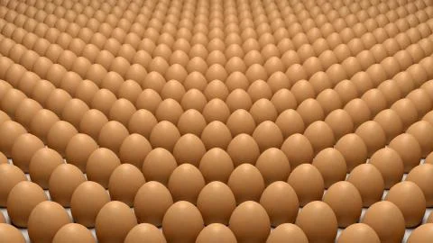 Eggs Stock-Fotos