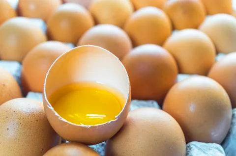 Eggs Stock Photos