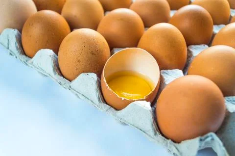 Eggs Stock Photos