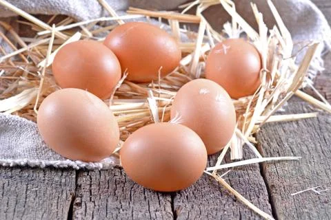 Eggs Stock Photos