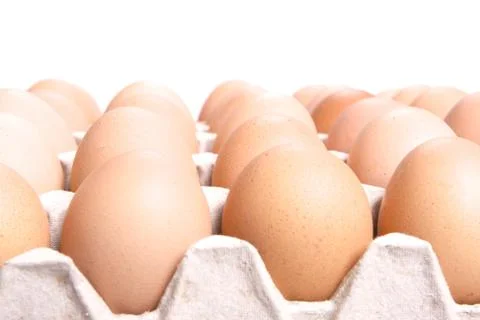 Eggs Stock Photos