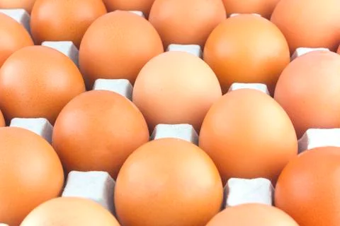 Eggs Stock Photos