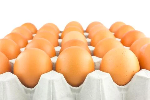 Eggs Stock Photos