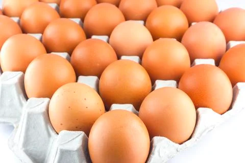 Eggs Stock Photos
