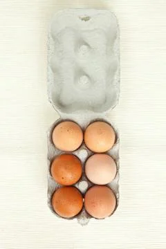 Eggs Stock Photos