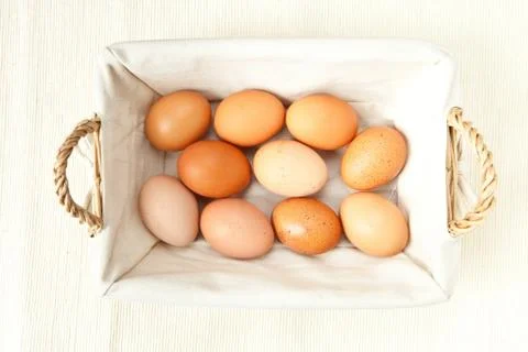 Eggs Stock Photos