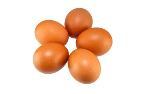Eggs Stock Photos