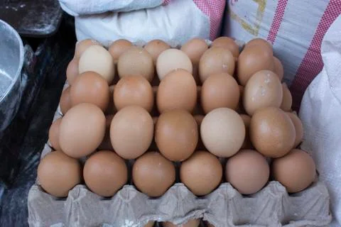 Eggs Stock Photos