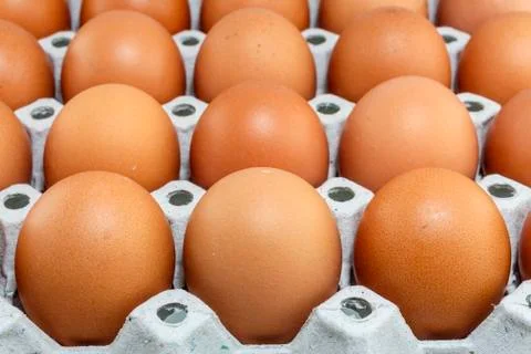 Eggs Stock Photos