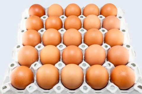 Eggs Stock Photos