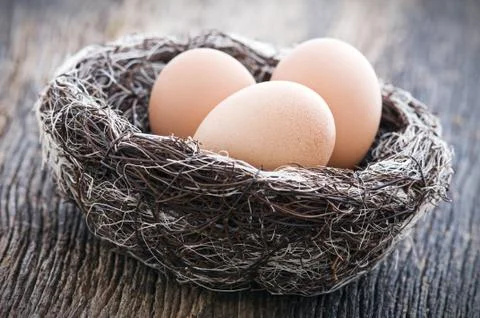 Eggs Stock Photos