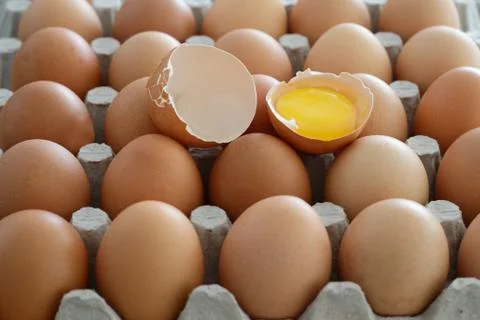 Eggs Stock Photos
