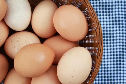Eggs Stock Photos