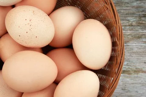 Eggs Stock Photos